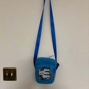 Walt Disney World Crossbody Bag Purse –EUC